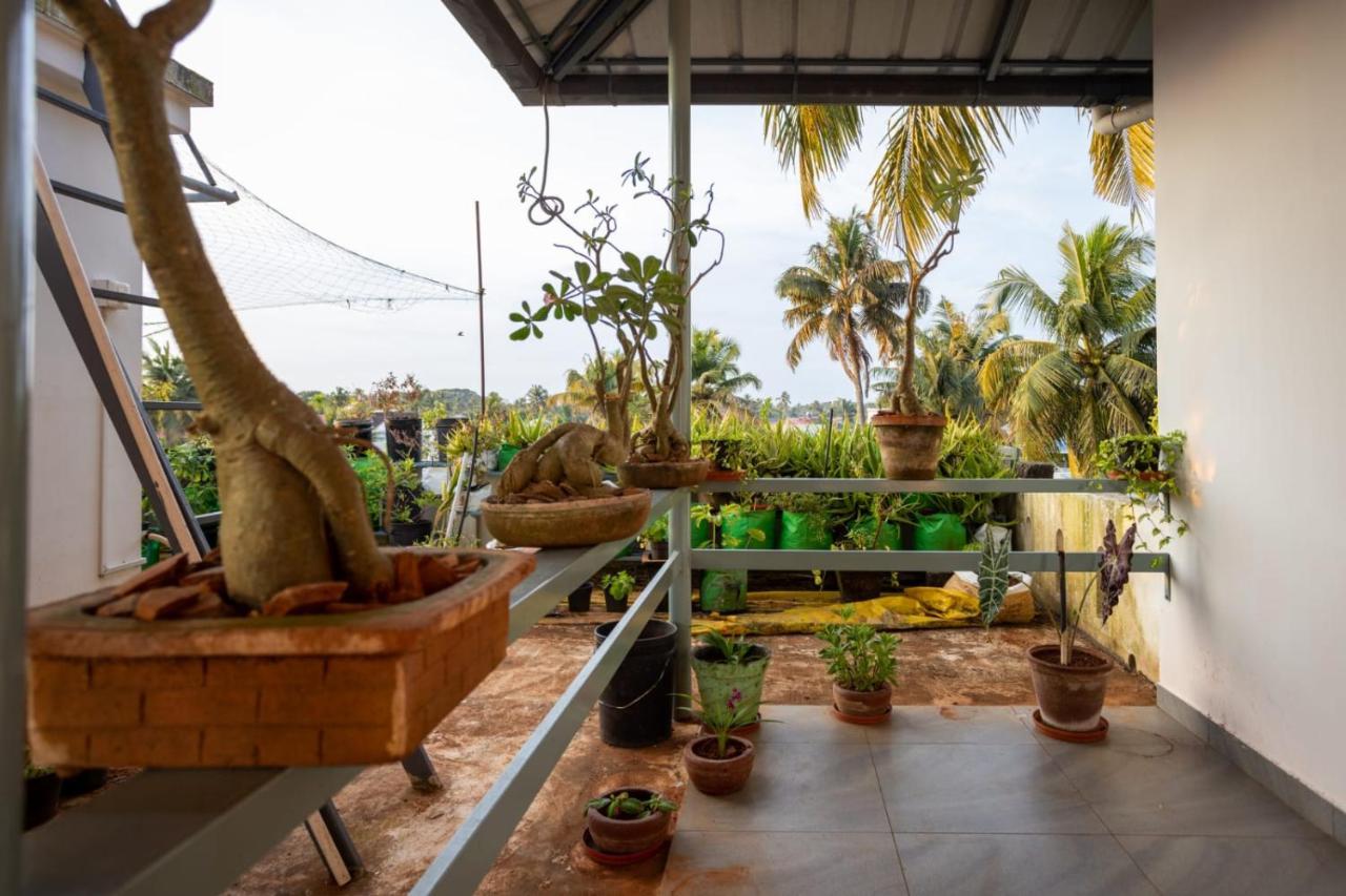 Homested Homestay Fort Коччи Экстерьер фото